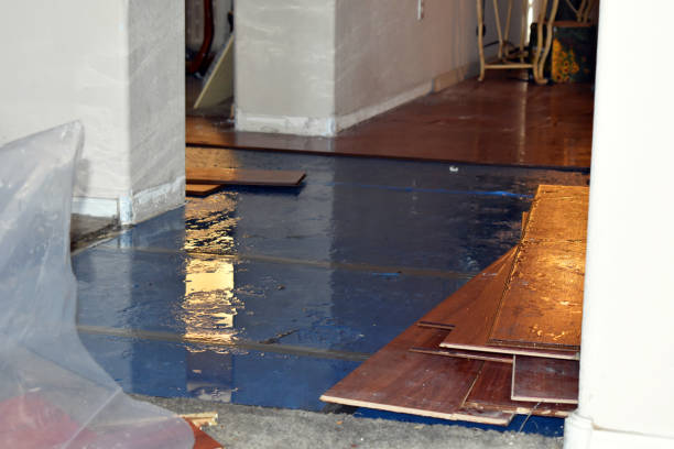 Professional Basement Water Removal technician working in Celina, TN